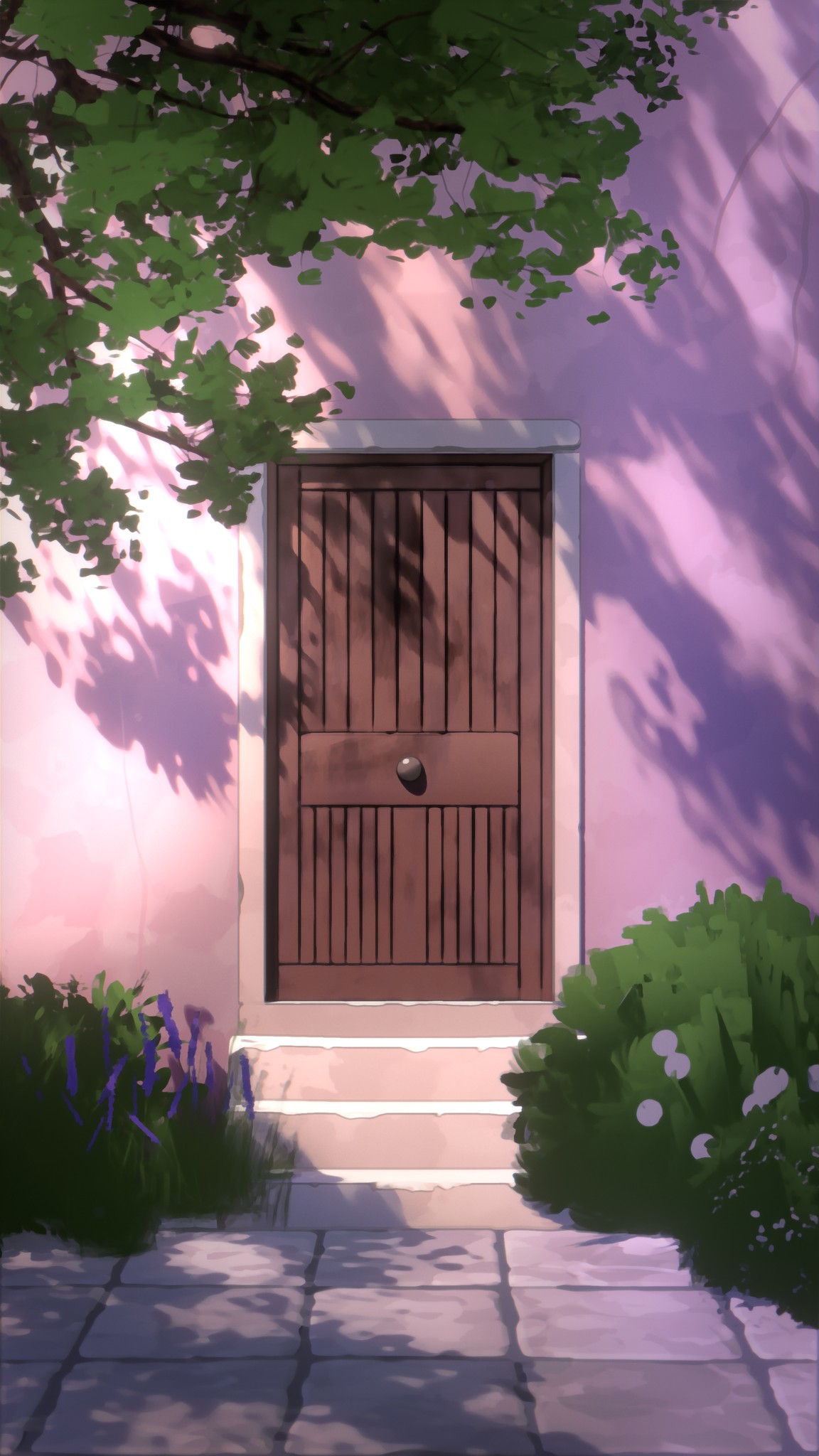 Wooden door in a pink facade with leaf shadows in sunlight